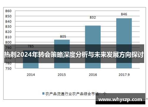 热刺2024年转会策略深度分析与未来发展方向探讨